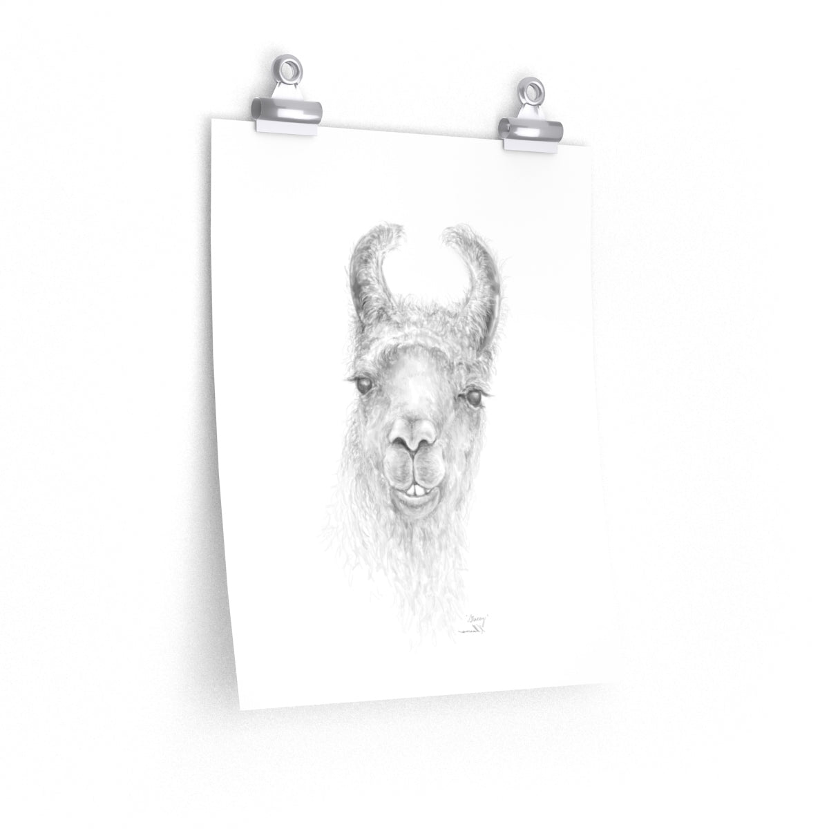 STACEY Llama- Art Paper Print