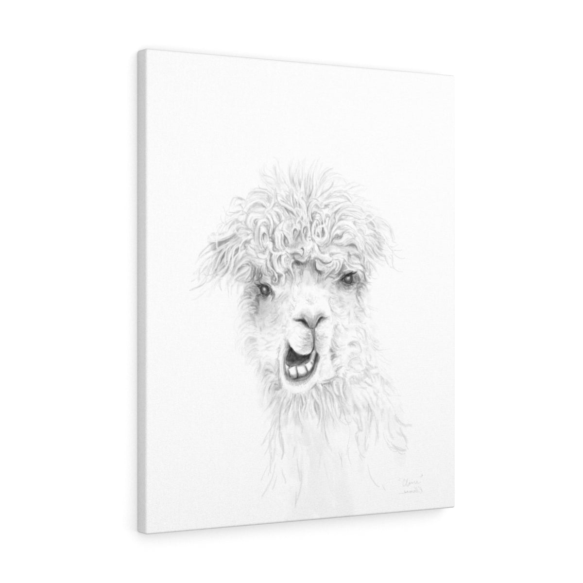 CLAIRE Llama - Art Canvas