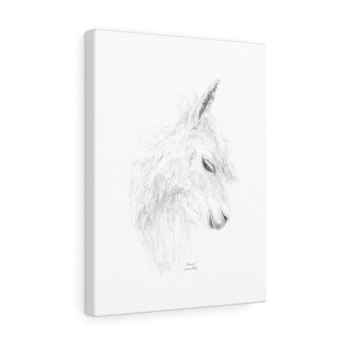 ALAINA Llama - Art Canvas