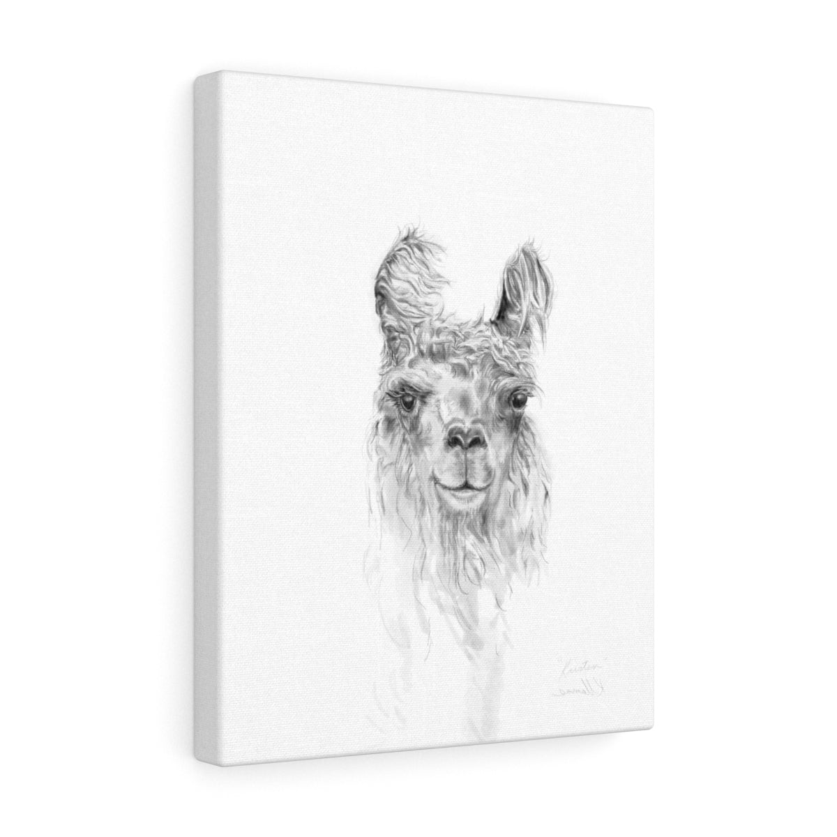 KRISTEN Llama - Art Canvas