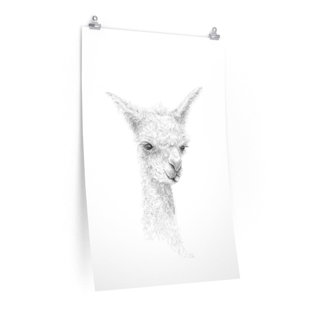 ALICE Llama- Art Paper Print