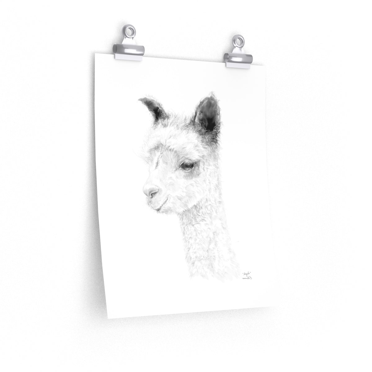 ANGELA Llama- Art Paper Print