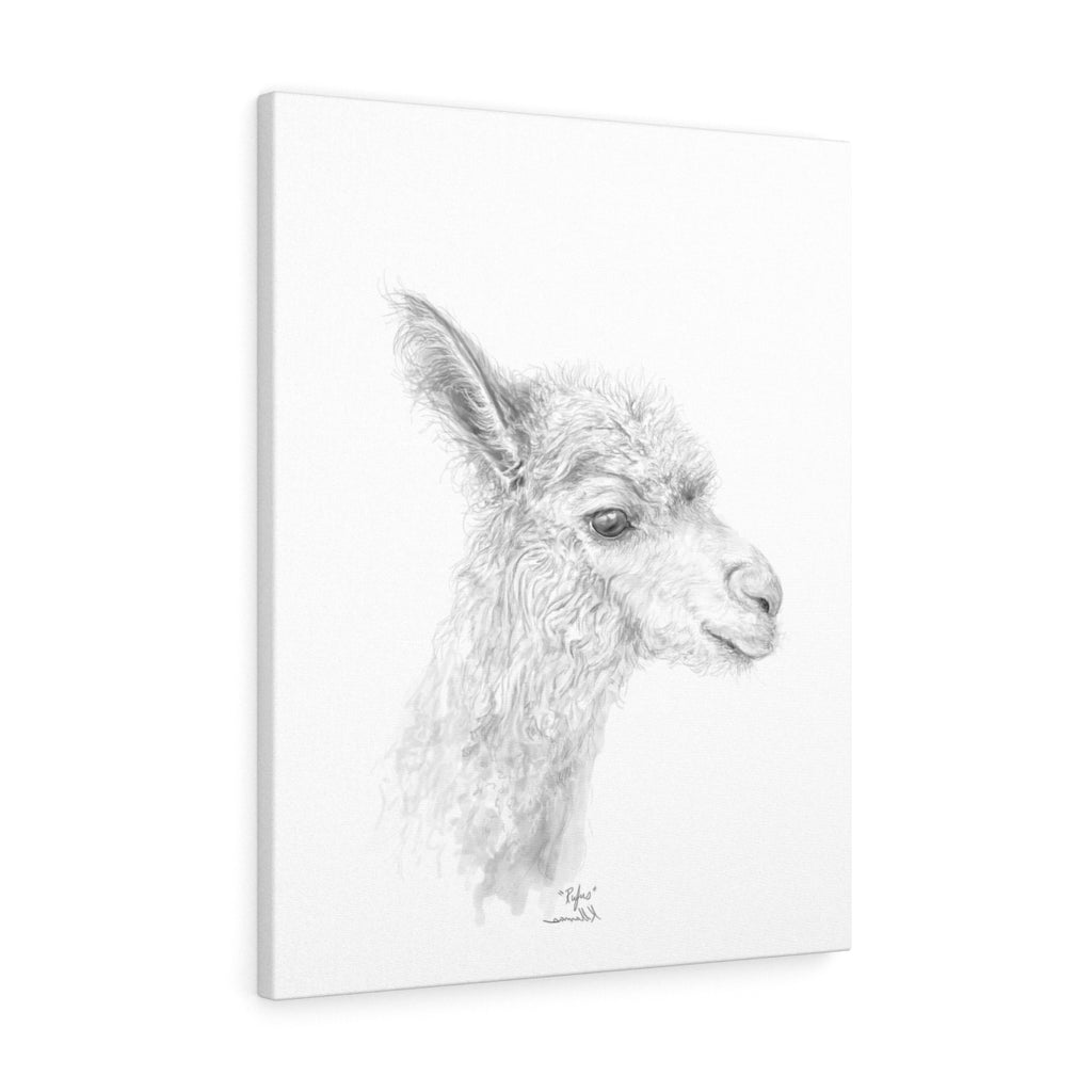 RUFUS Llama - Art Canvas