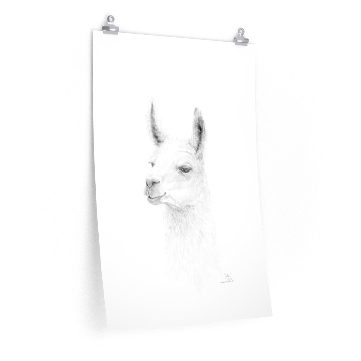 ISLA Llama- Art Paper Print