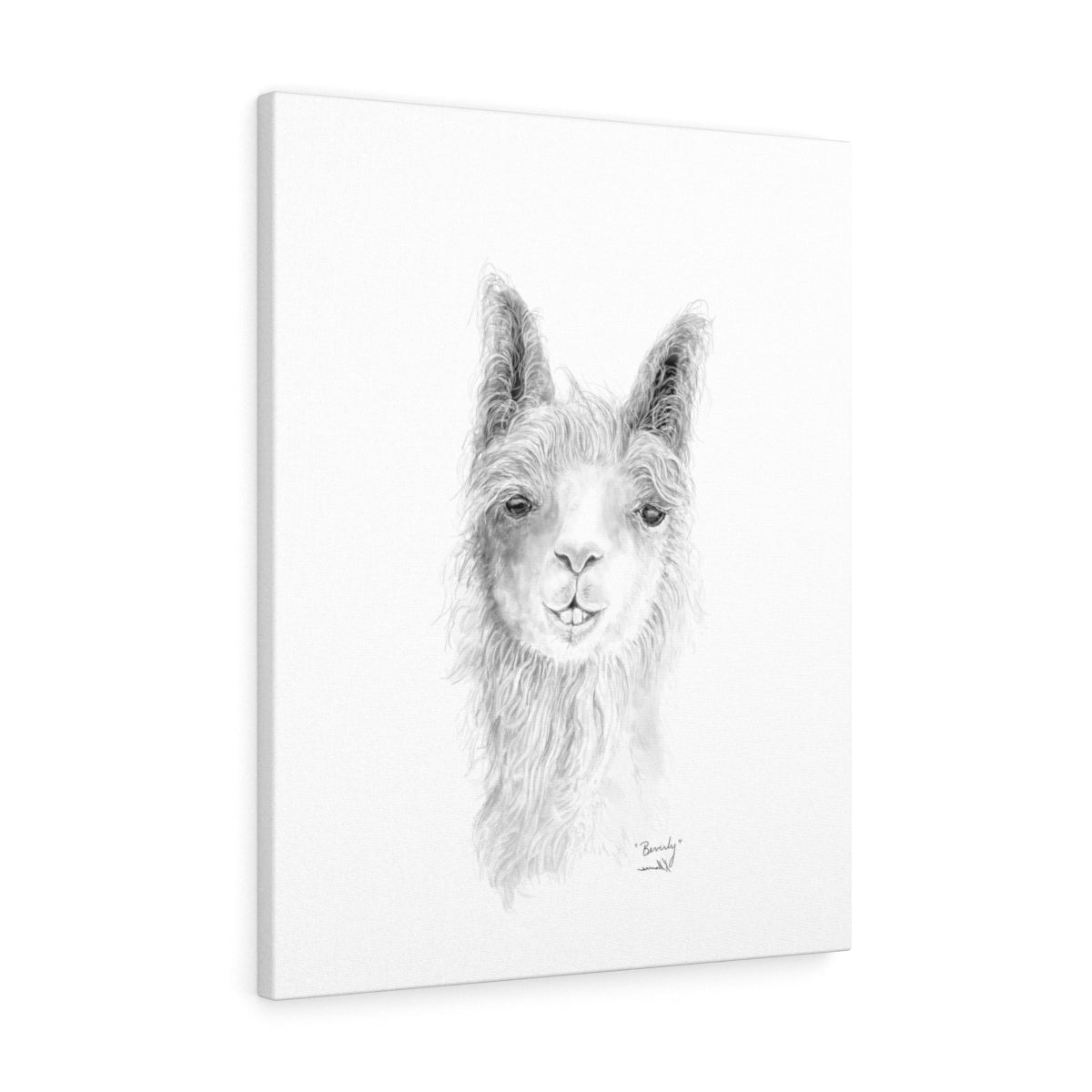 BEVERLY Llama - Art  Canvas
