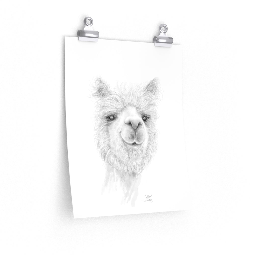 ALLISA Llama- Art Paper Print
