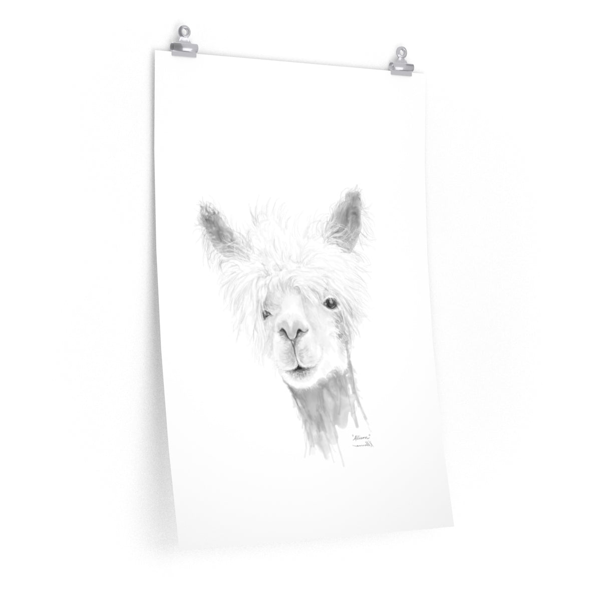ALLISON Llama- Art Paper Print
