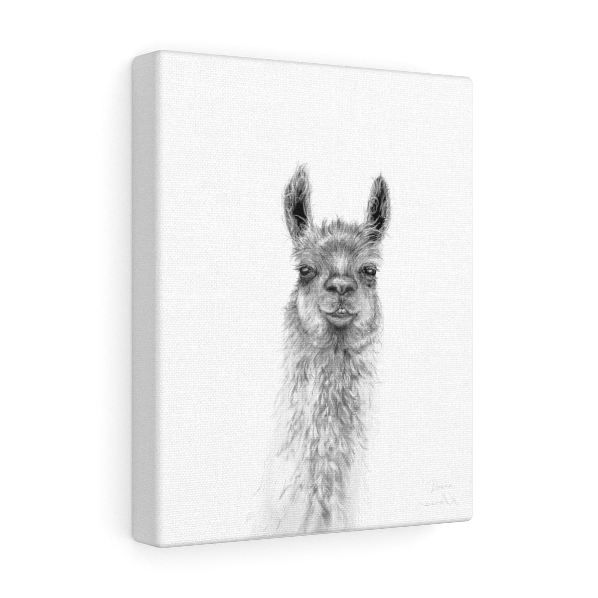 DONNA Llama - Art Canvas