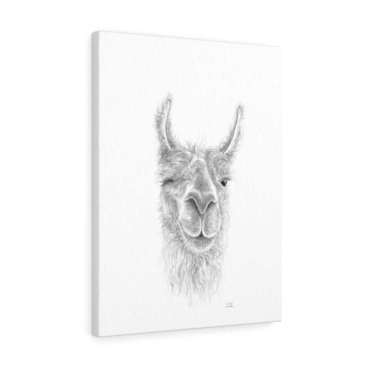 EMILIE Llama - Art Canvas