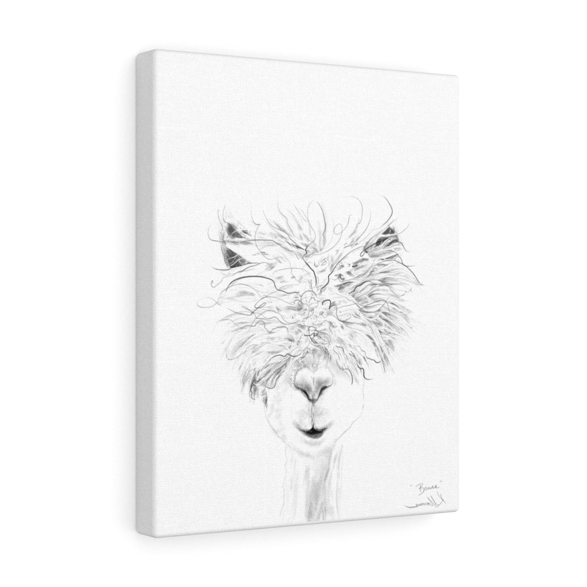 BRUCE Llama - Art Canvas