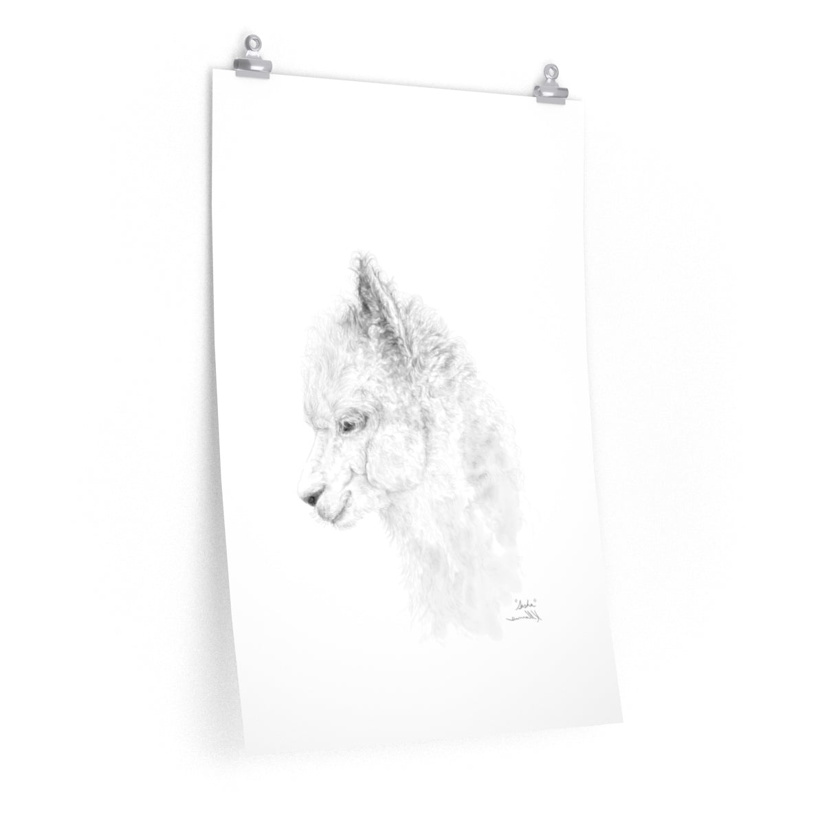 SASHA Llama- Art Paper Print