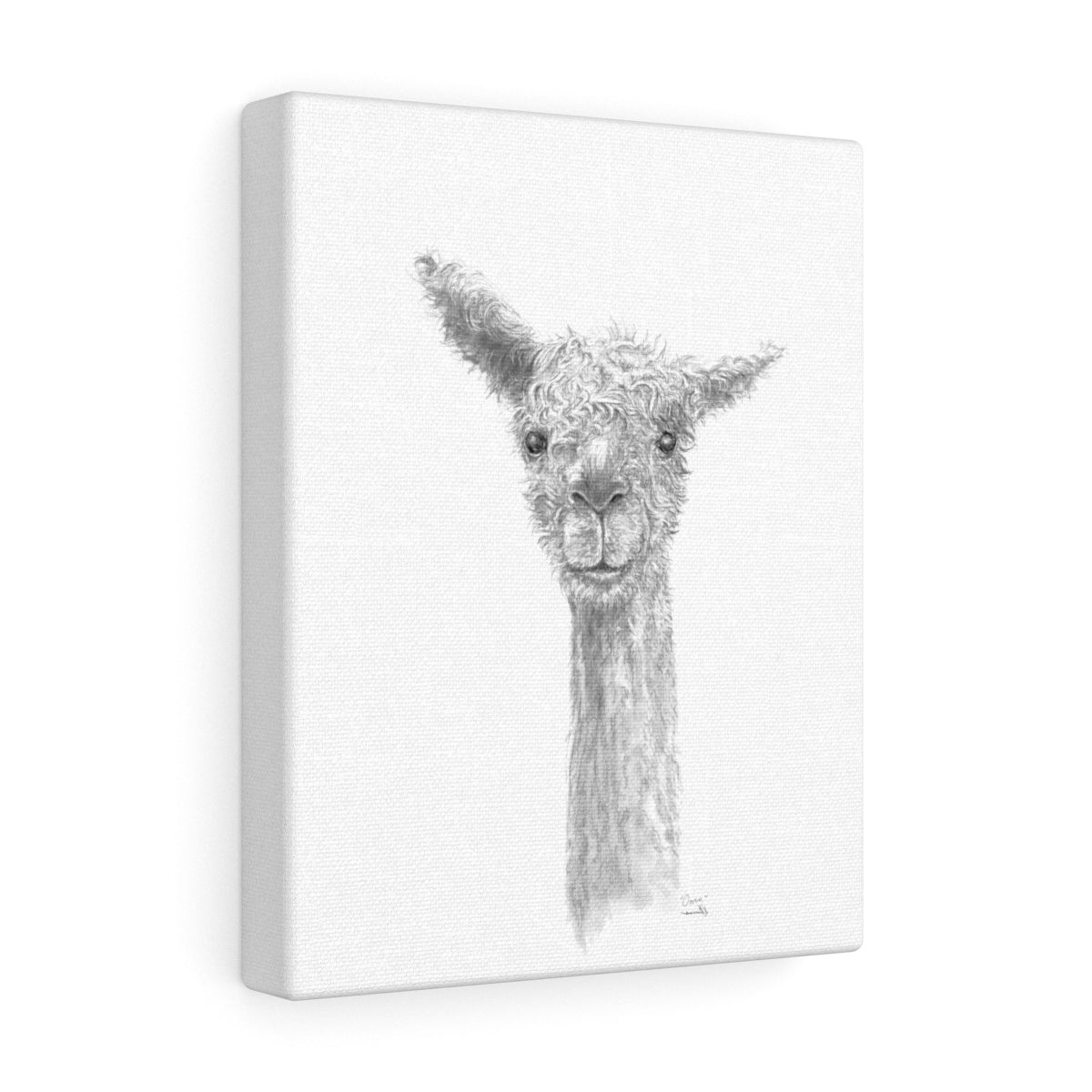 OWEN Llama - Art Canvas