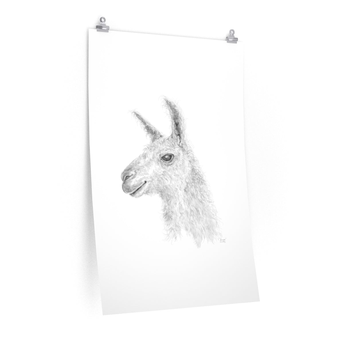 LENNOX Llama- Art Paper Print