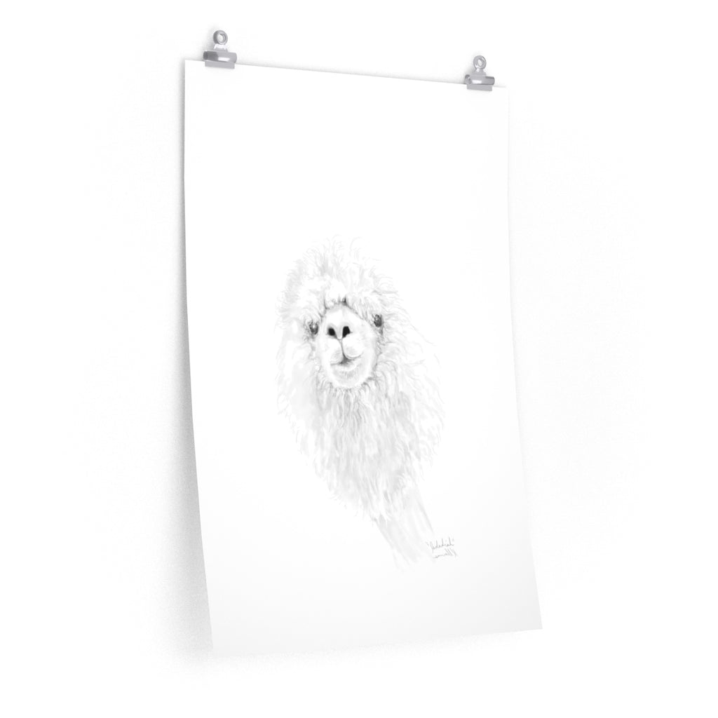 JEDADIAH Llama- Art Paper Print