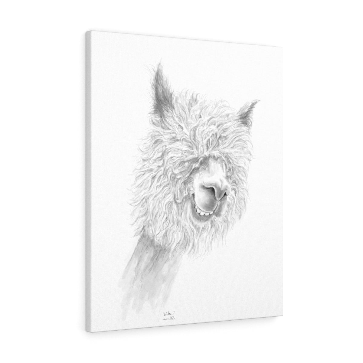 WALTER Llama - Art Canvas