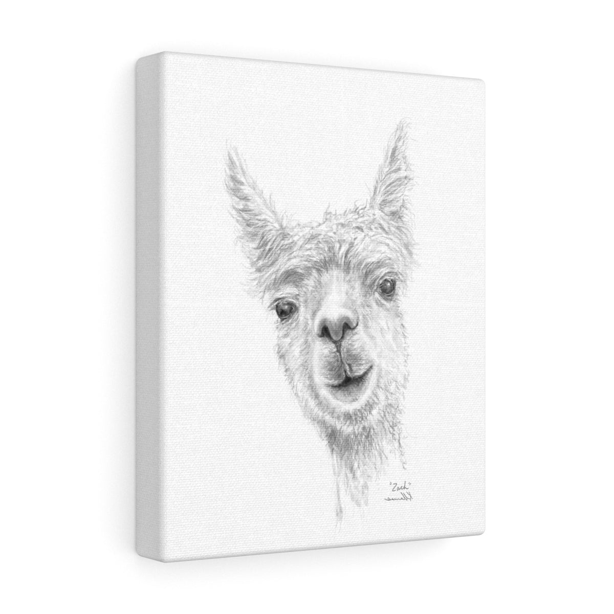 ZACH Llama - Art Canvas