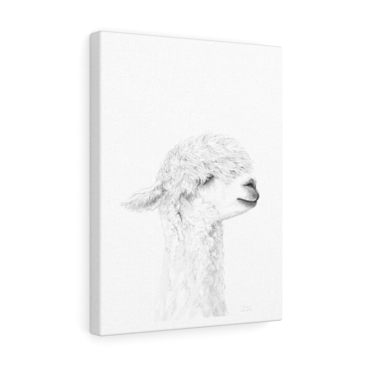 DANICA Llama - Art Canvas