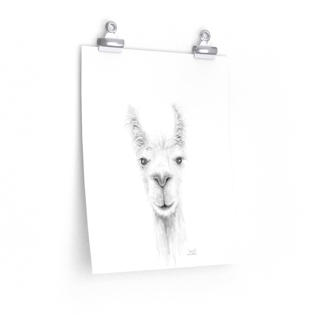 IZAIAH Llama- Art Paper Print
