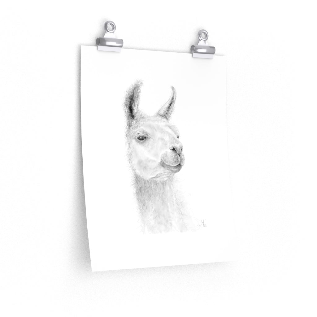 JEFF Llama- Art Paper Print
