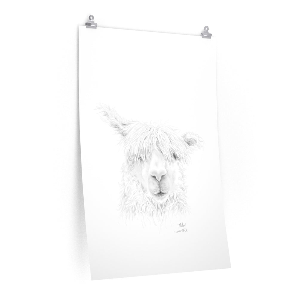 MILES Llama- Art Paper Print