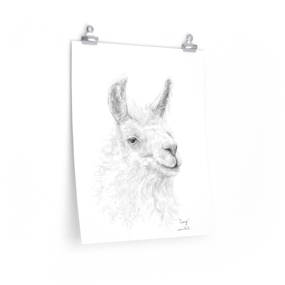 CRAIG Llama- Art Paper Print