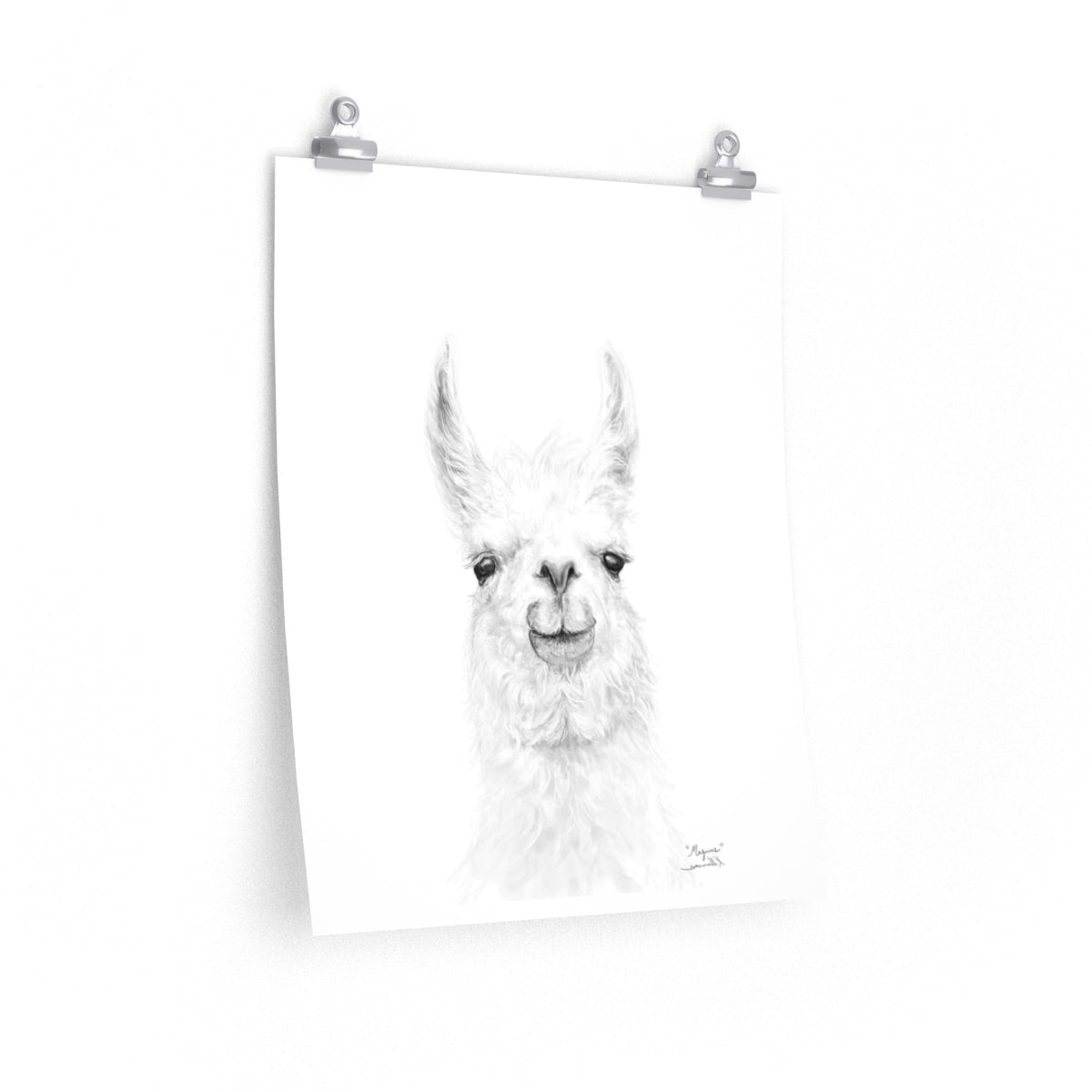 MAGNUS Llama- Art Paper Print