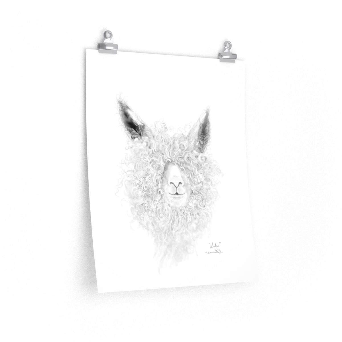 LESLIE Llama- Art Paper Print