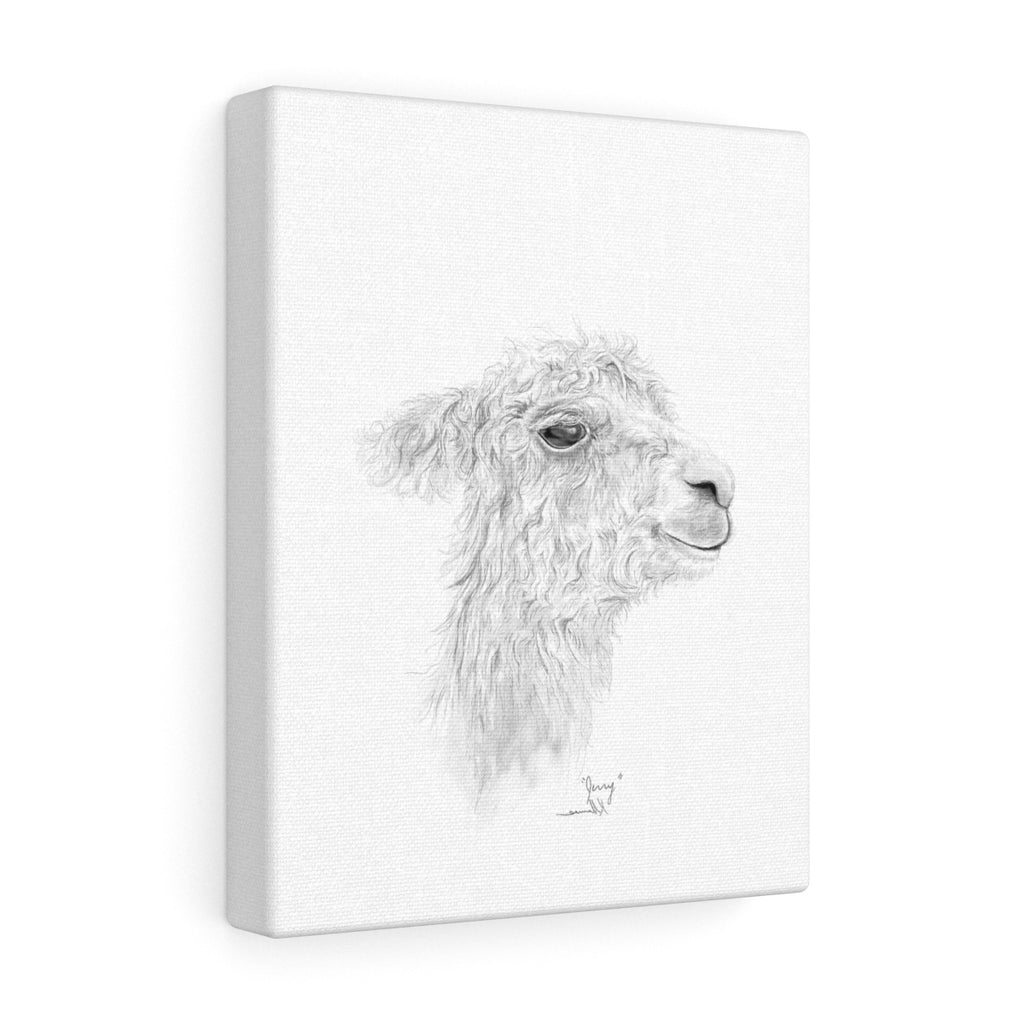 JERRY Llama - Art Canvas