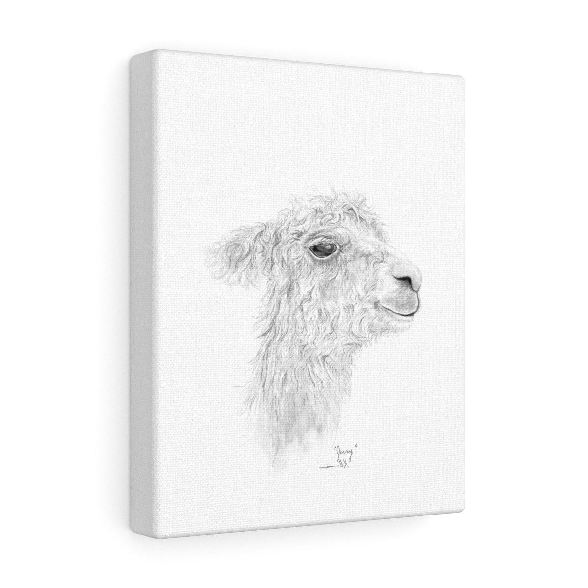 JERRY Llama - Art Canvas