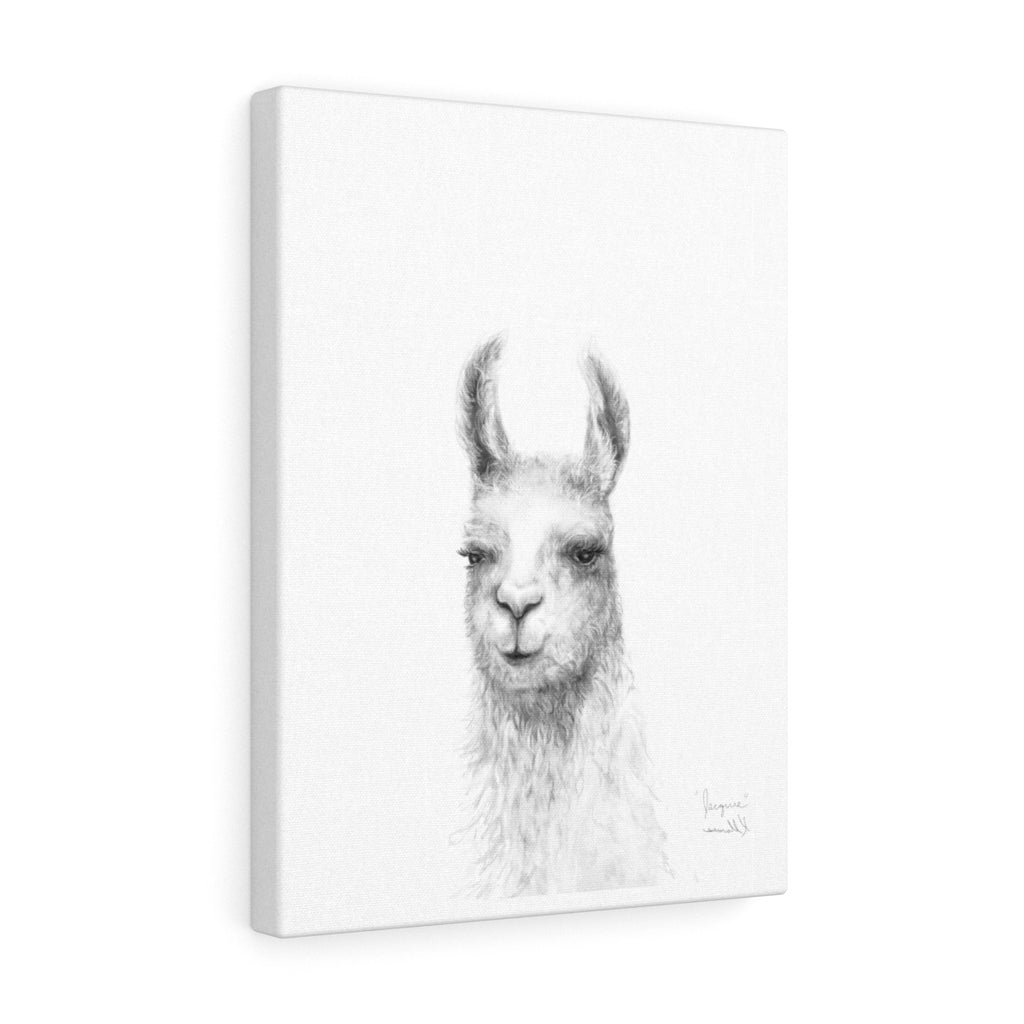 JACQUIE Llama - Art Canvas