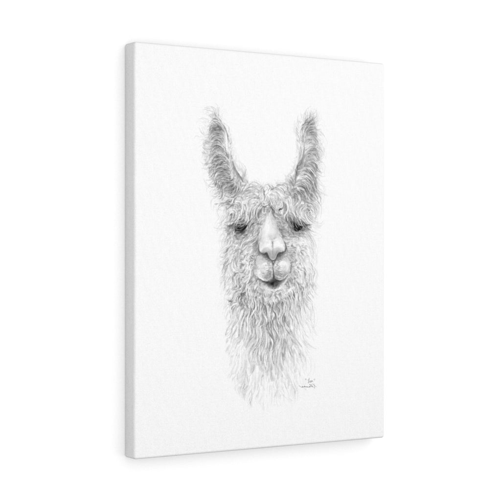 LEA Llama - Art Canvas