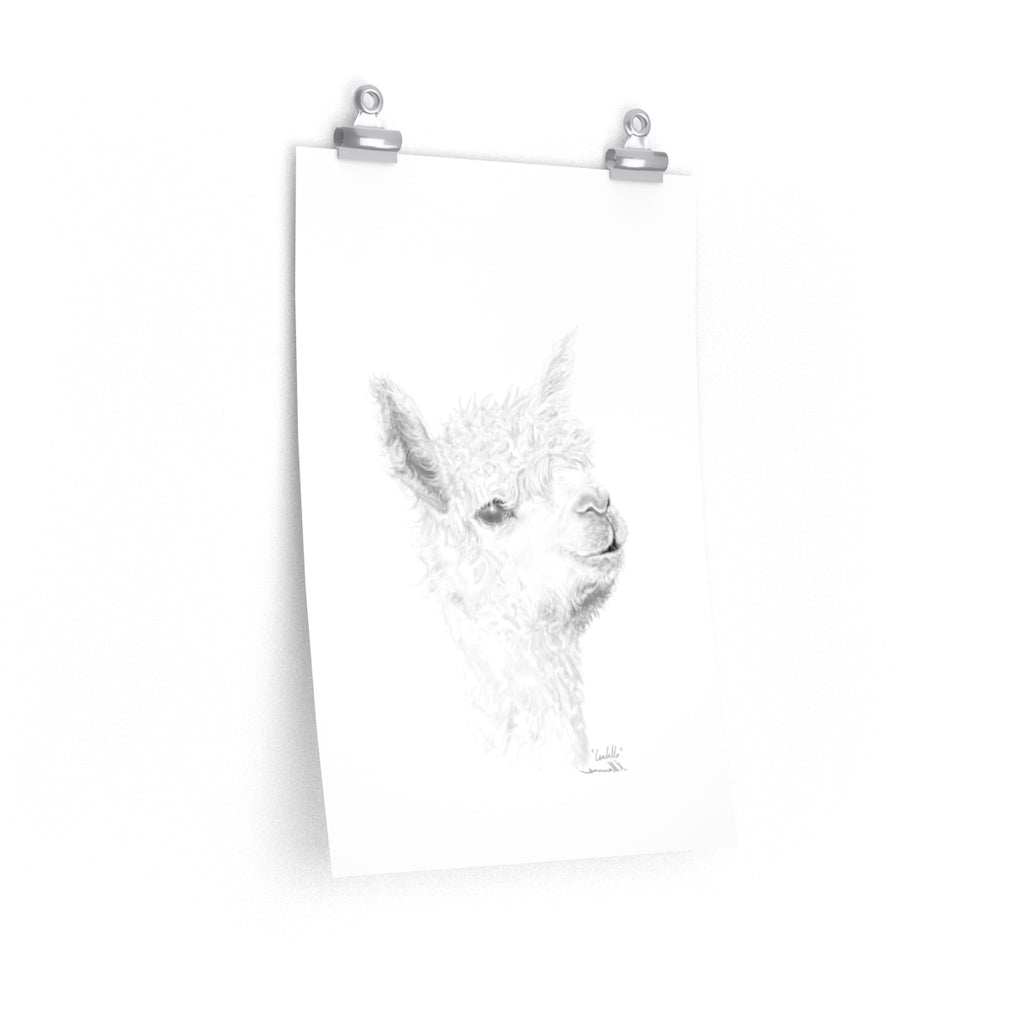 ISABELLA Llama- Art Paper Print