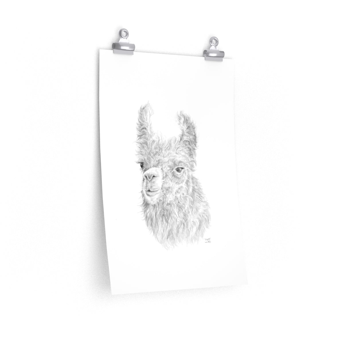 Elizabeth Llama- Art Paper Print