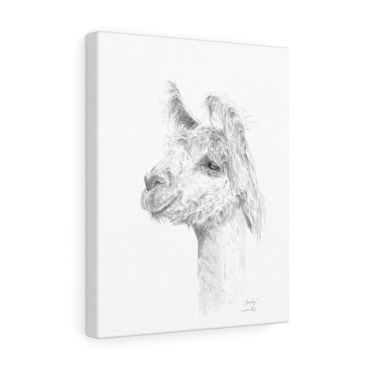 ANDY Llama - Art Canvas