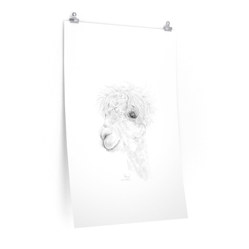 LORI Llama- Art Paper Print