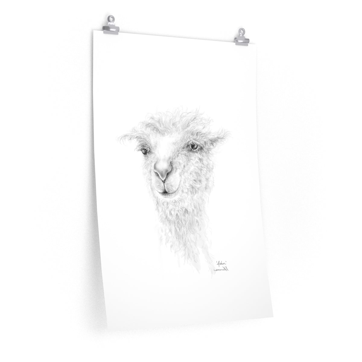 ASHER Llama- Art Paper Print