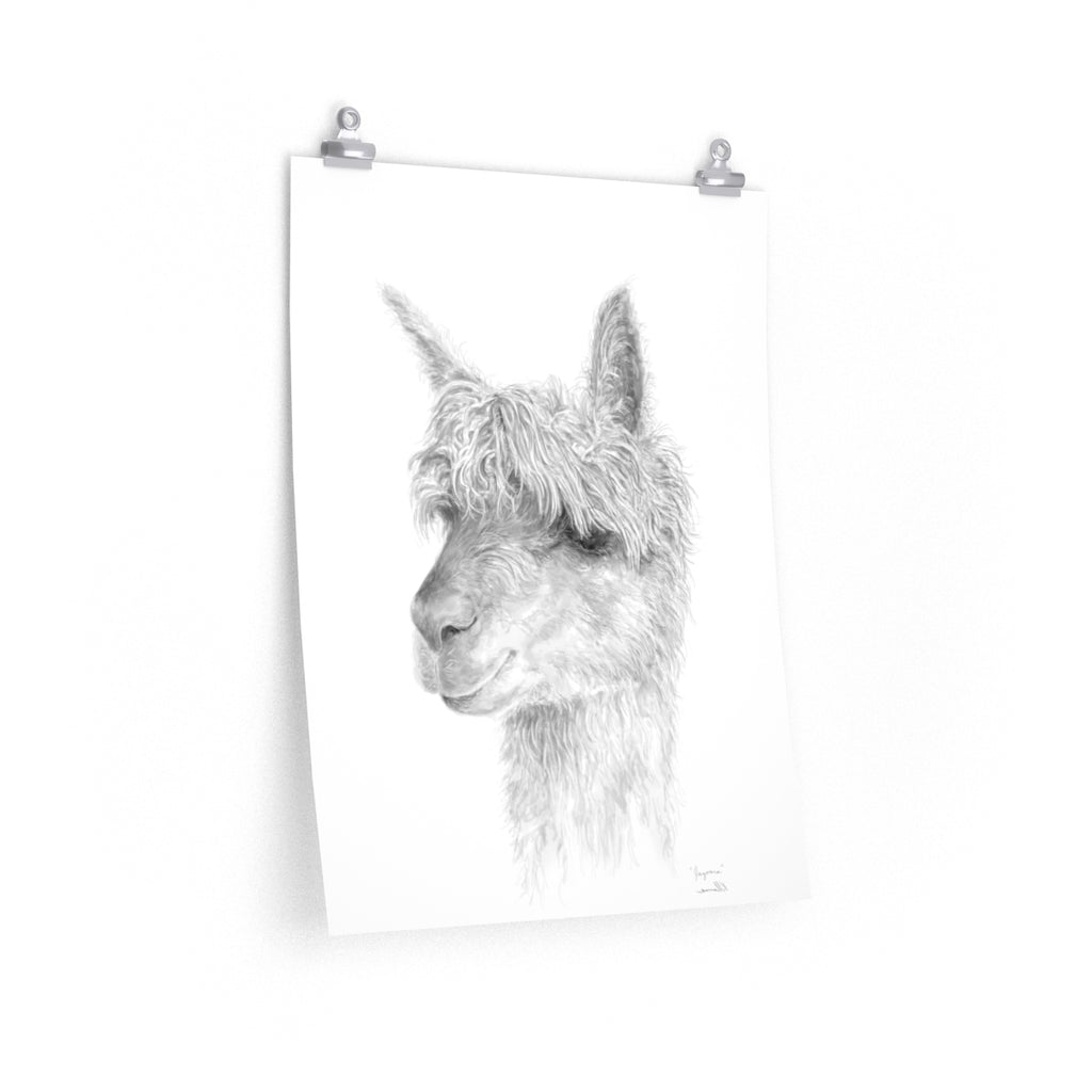 JAZOARA Llama- Art Paper Print