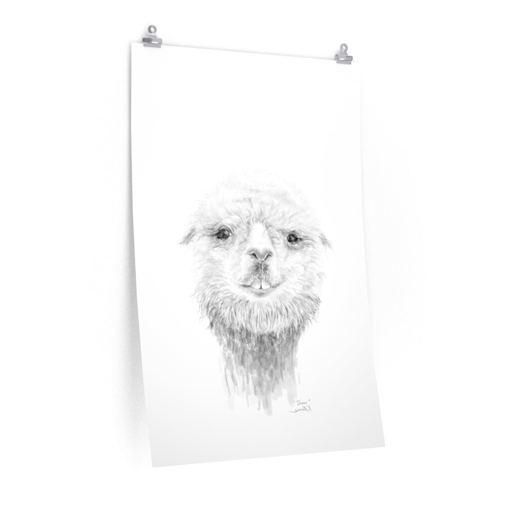 DREW Llama- Art Paper Print