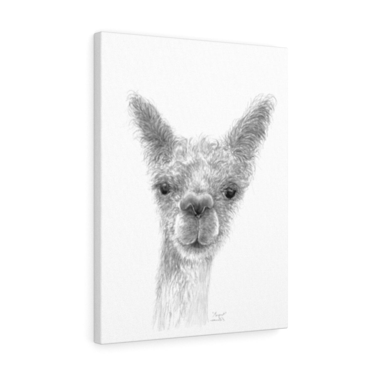 MARGARET Llama - Art Canvas
