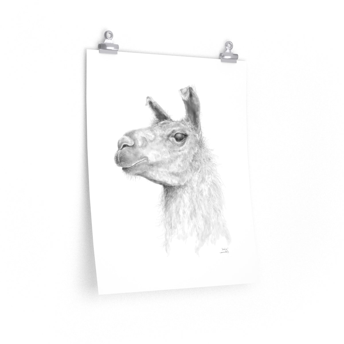 ANDREA Llama- Art Paper Print