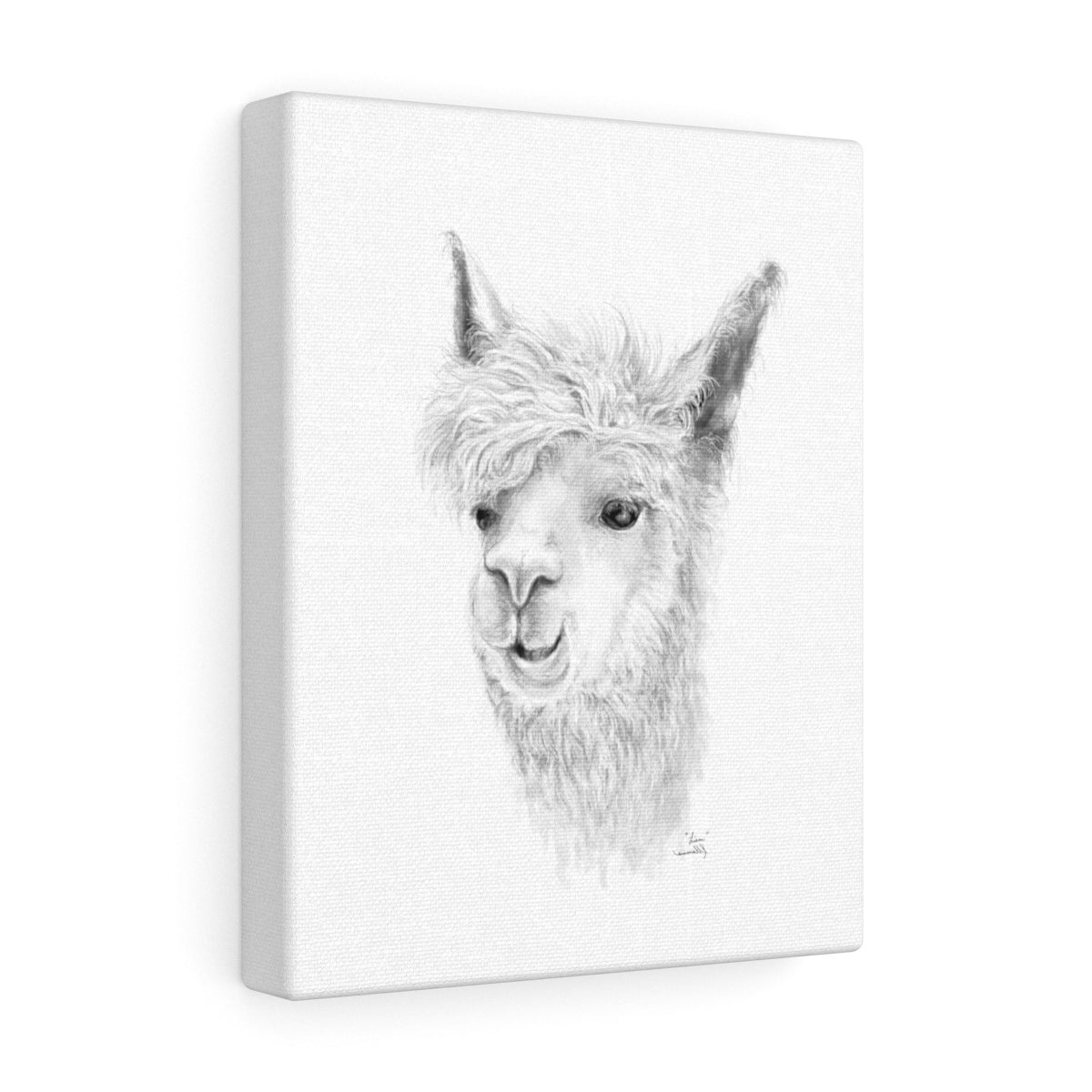 LIAM Llama - Art Canvas