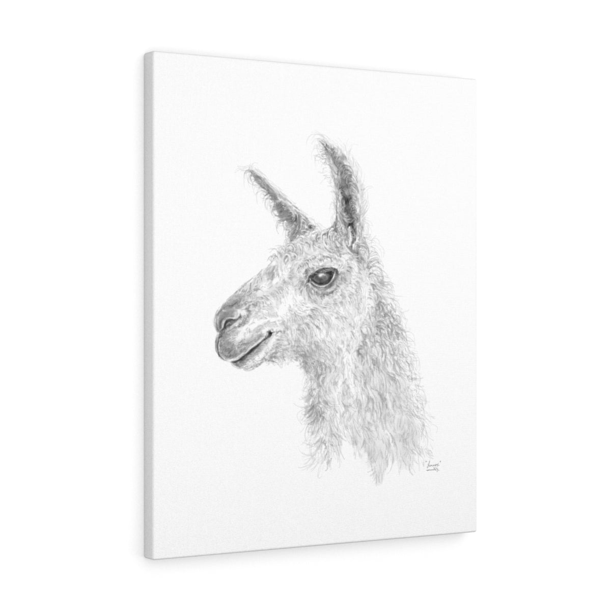 LENNOX Llama - Art Canvas