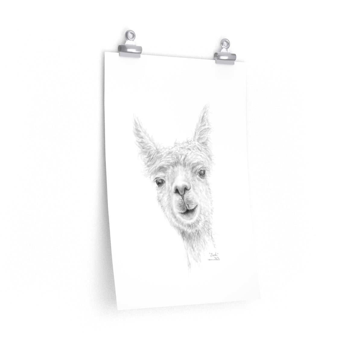 ZACH Llama- Art Paper Print