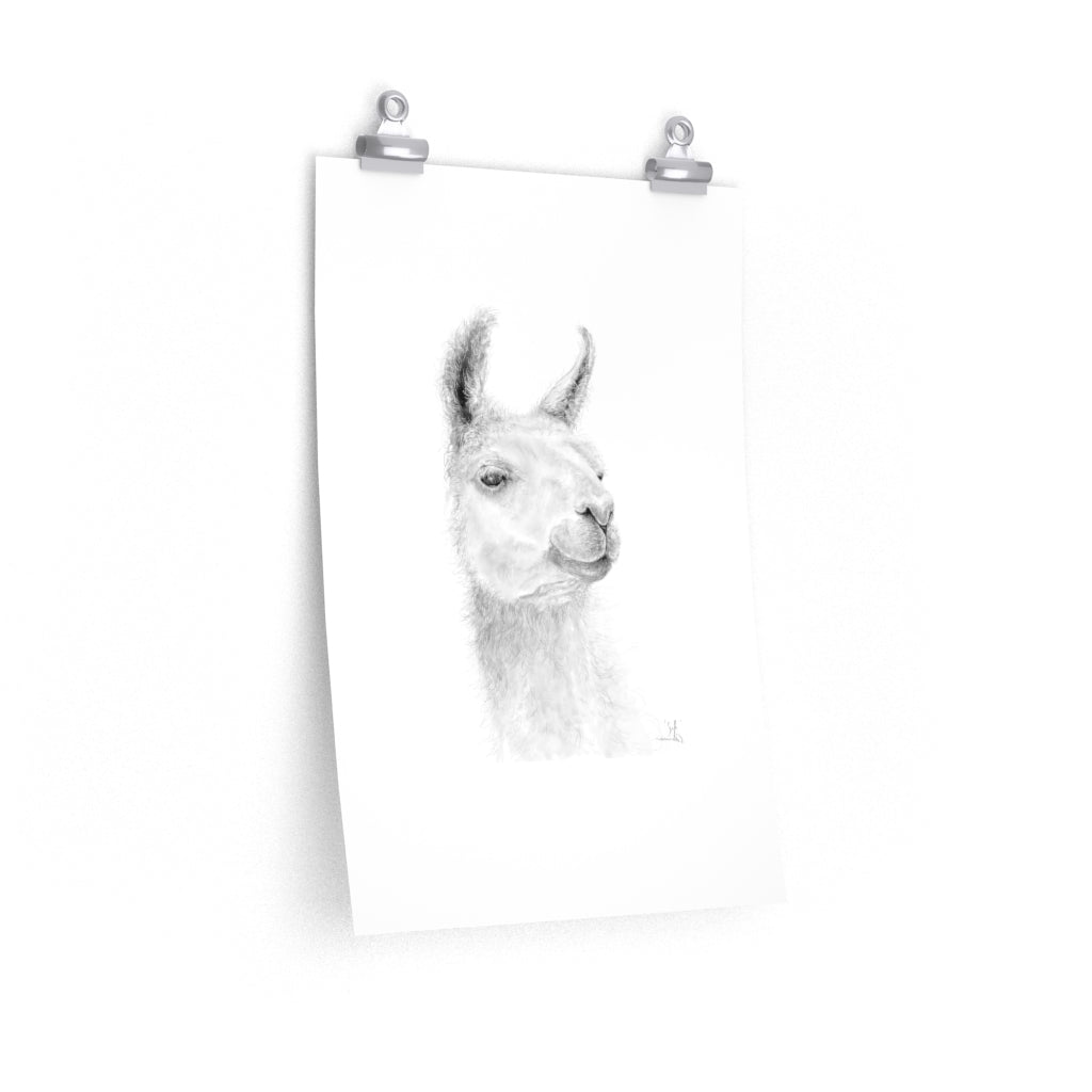 JEFF Llama- Art Paper Print