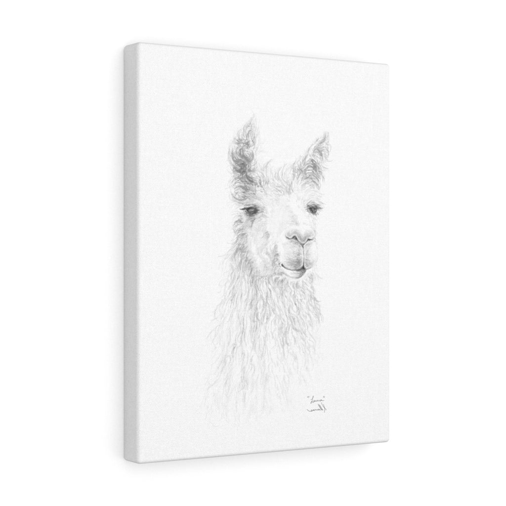 LAURA Llama - Art Canvas