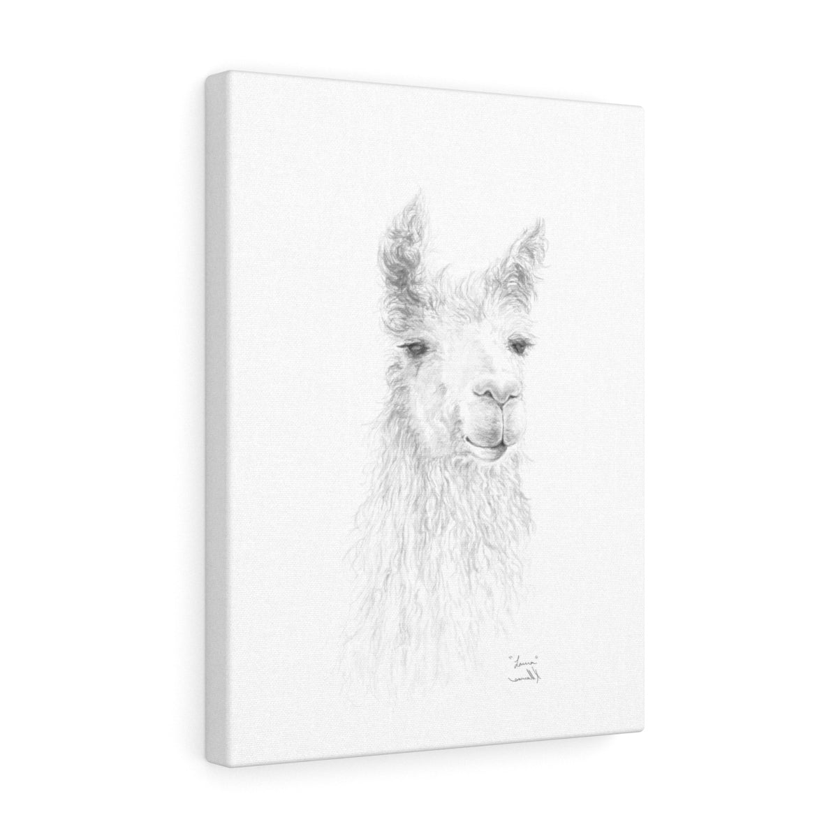 LAURA Llama - Art Canvas
