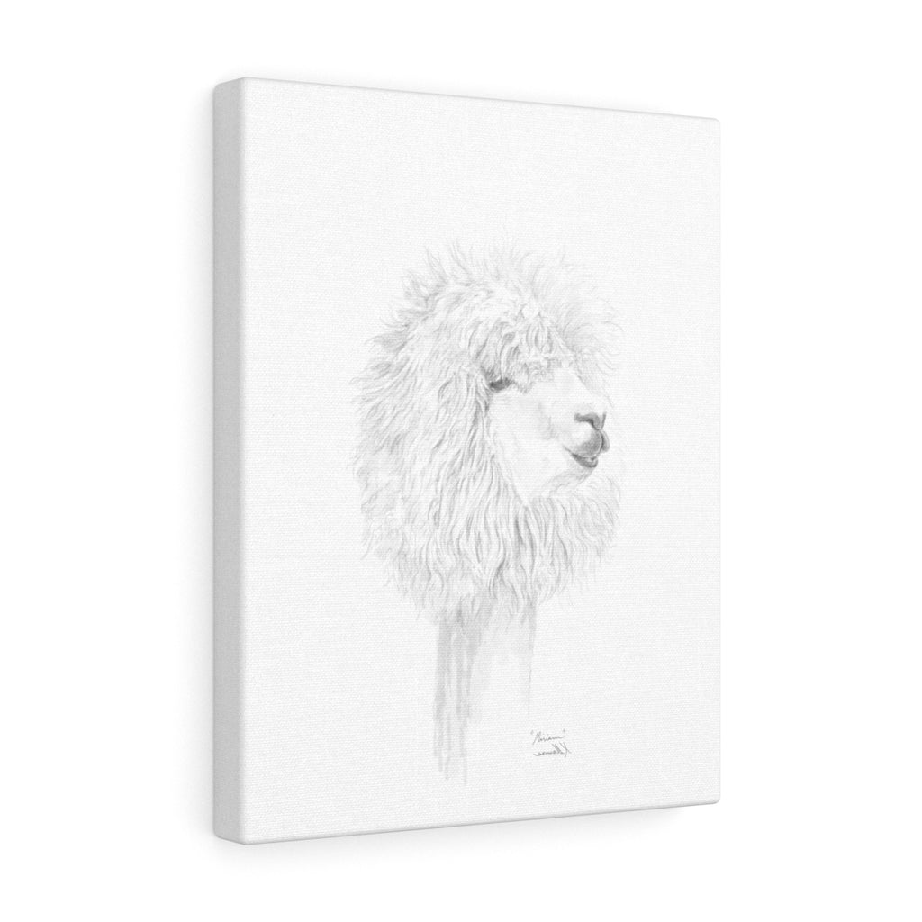 MIRIAM Llama- Art Canvas