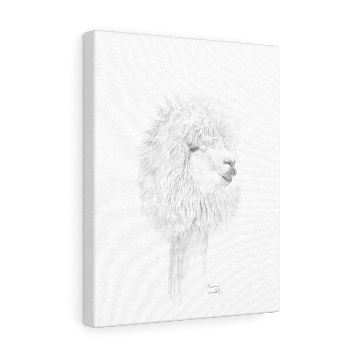 MIRIAM Llama- Art Canvas