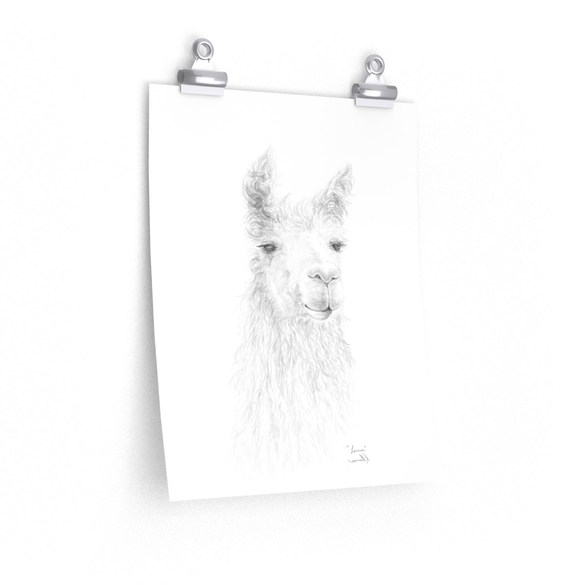 LAURA Llama- Art Paper Print