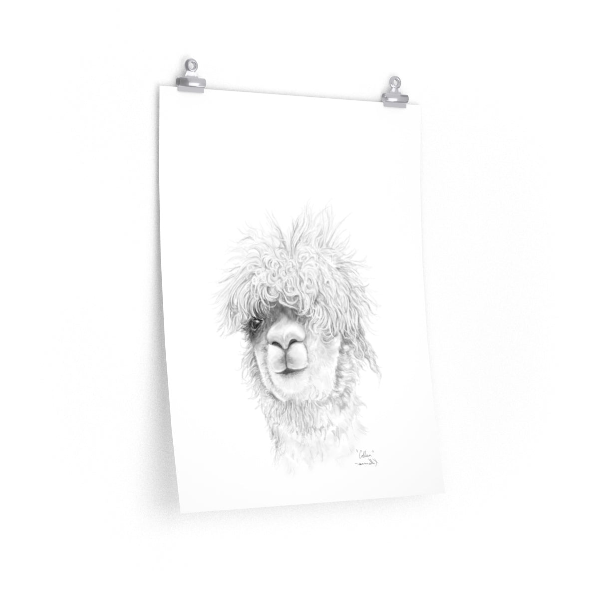 COLLEEN Llama- Art Paper Print
